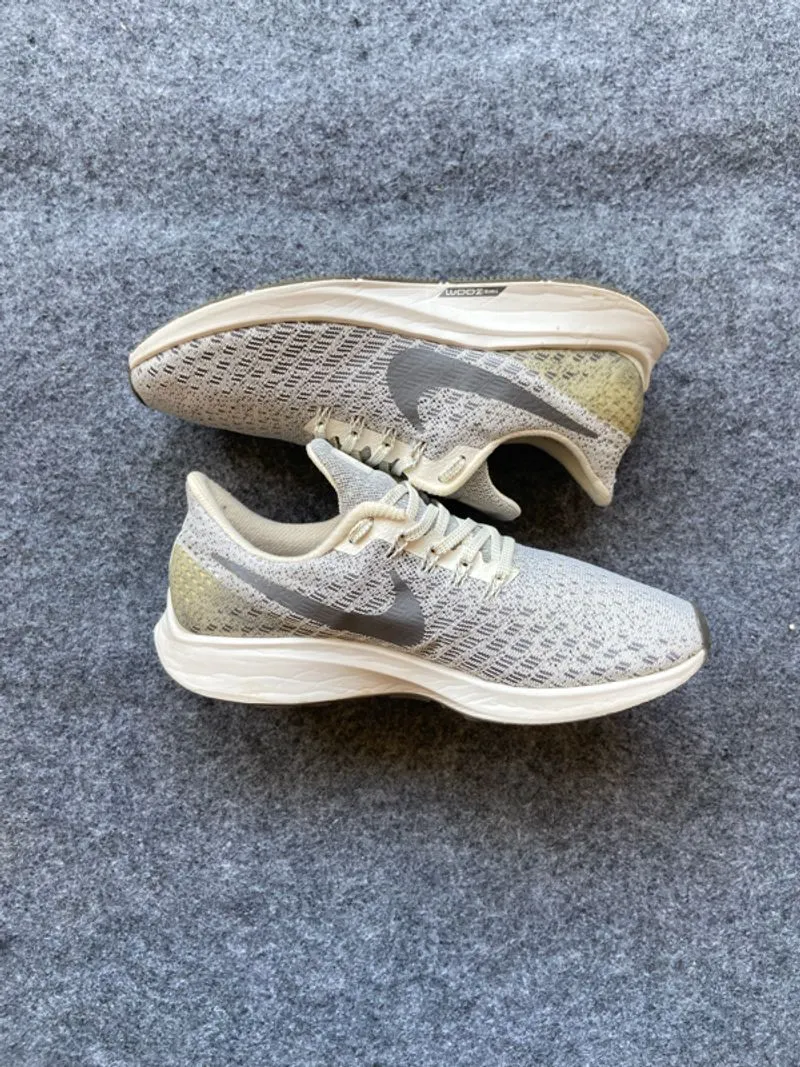 Nike Zoom Pegasus Running photo 1