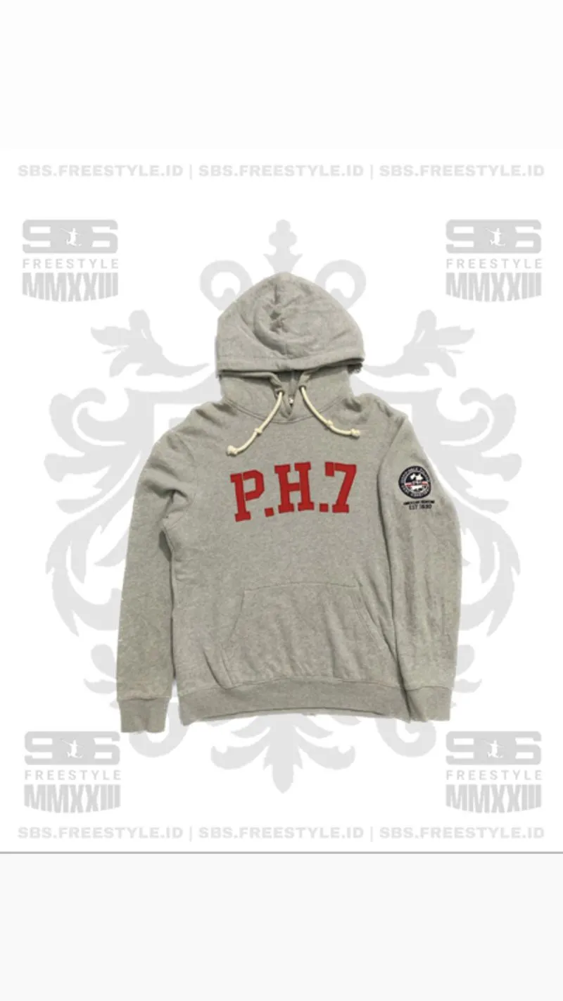 Polham Shirt Hoodie Grey photo 1