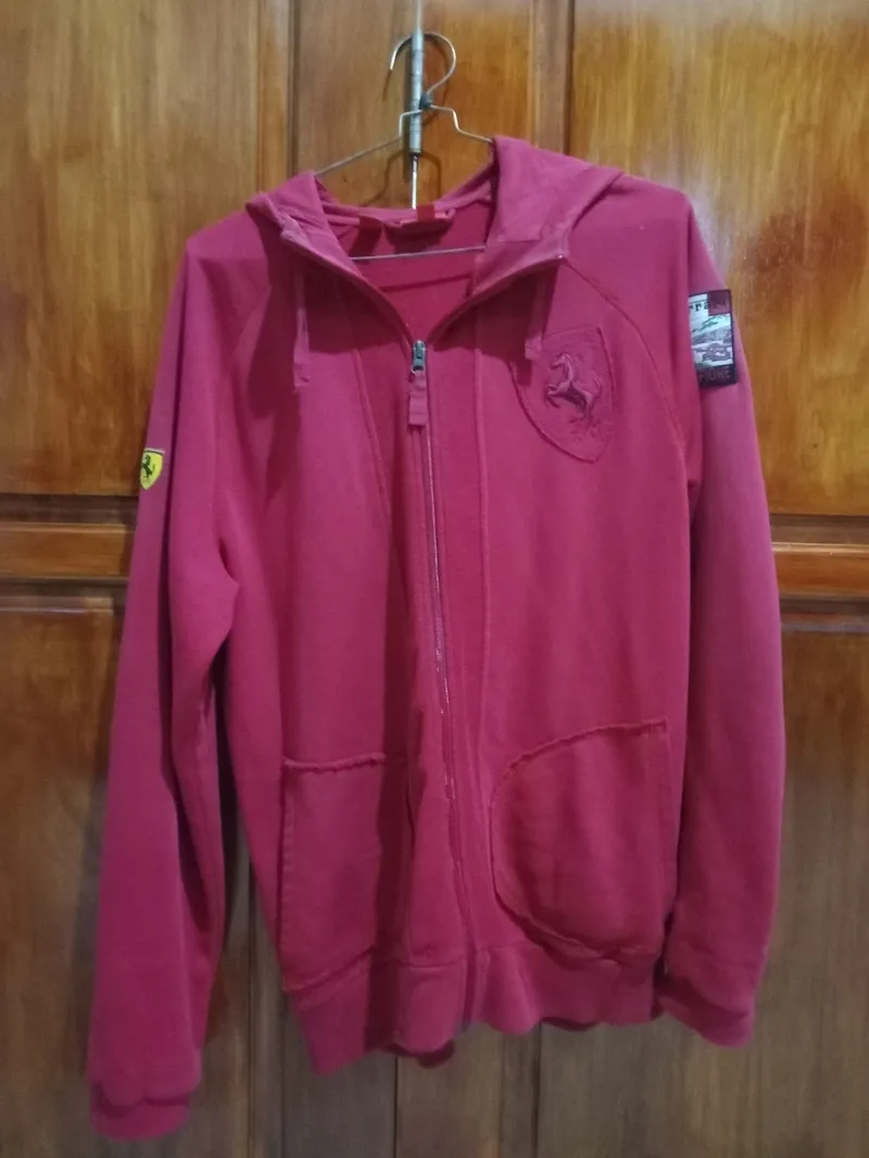 Puma Streetwear Jumper Pria red photo 1