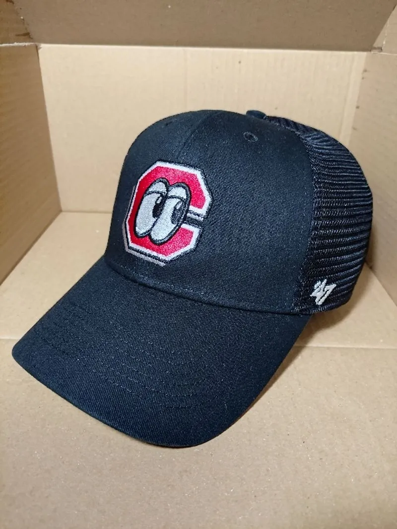47 brand lookouts chattanooga photo 1