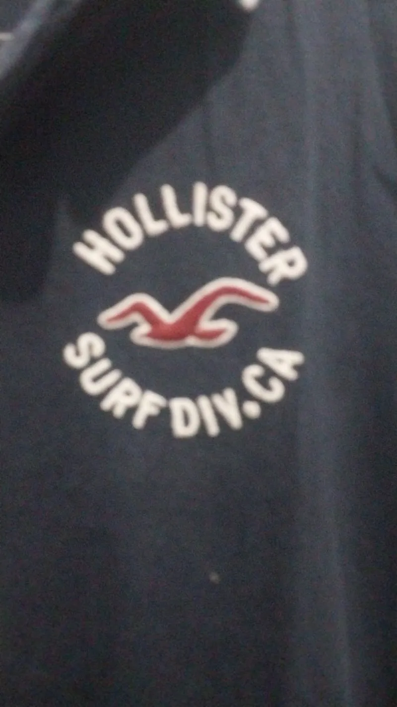 Hollister Polo Shirt photo 1