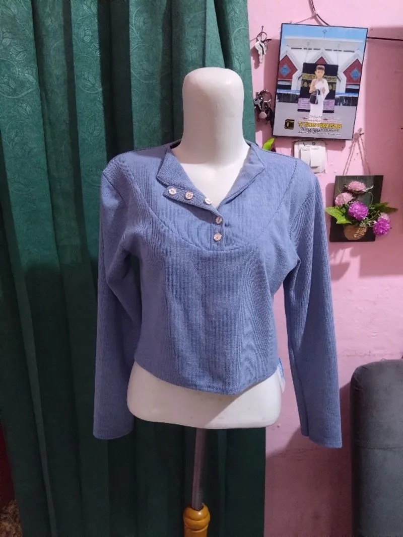 P195 Crop lidi-lidi biru muda photo 1