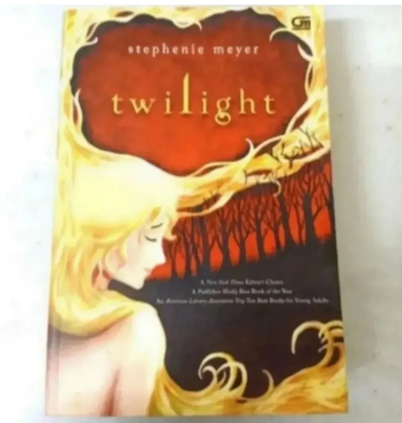 Novel : Twilight photo 1