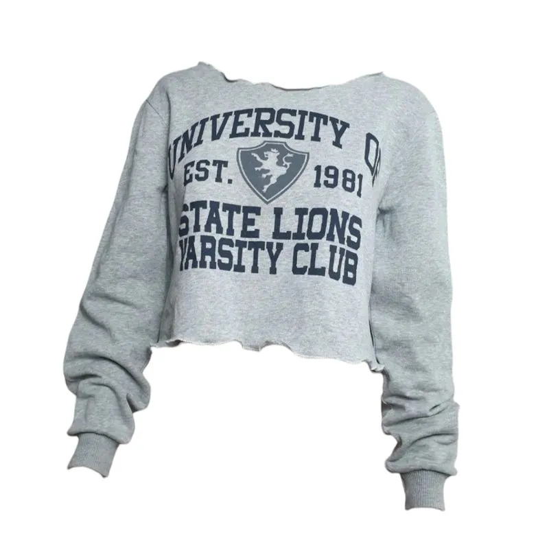 Vintage Streetwear Sweater Wanita gray photo 1