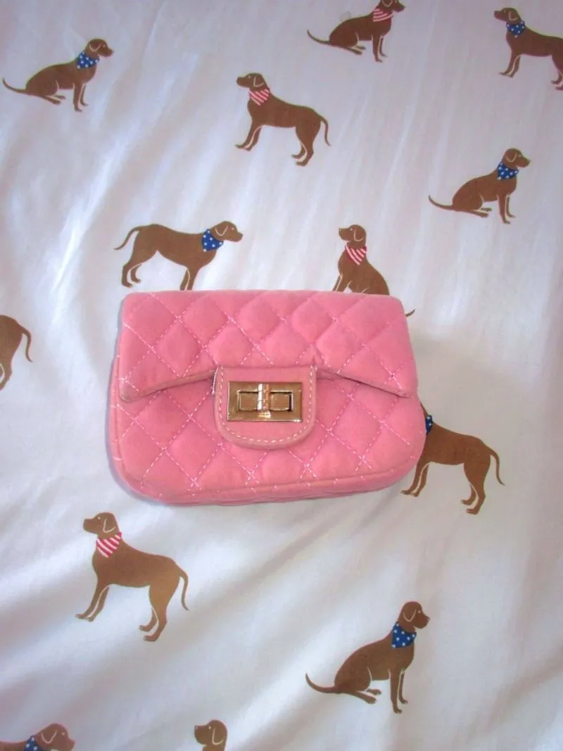 Pink and Blue purse photo 1