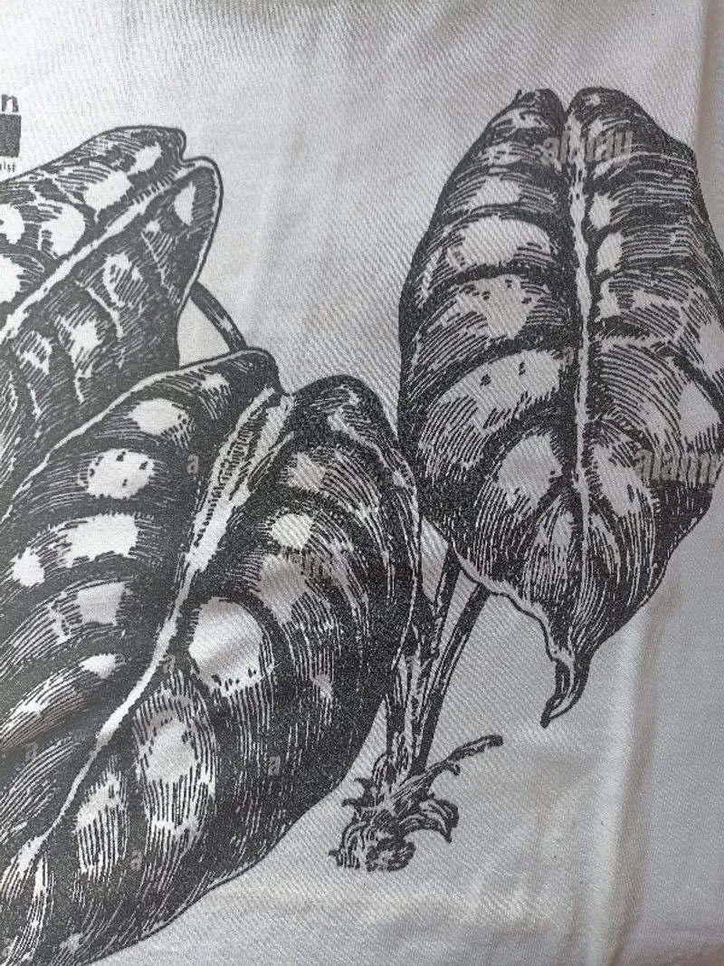 Gildan tshirt photo 1