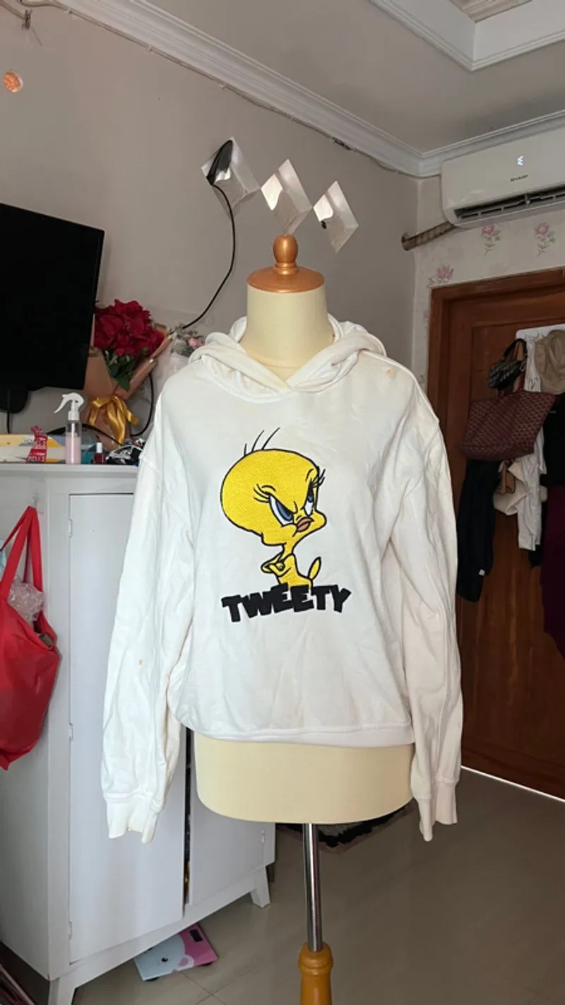Hoodie  photo 1