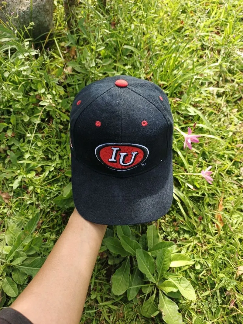 TOPI BASEBALL INDIANA UNIVERSITY photo 1