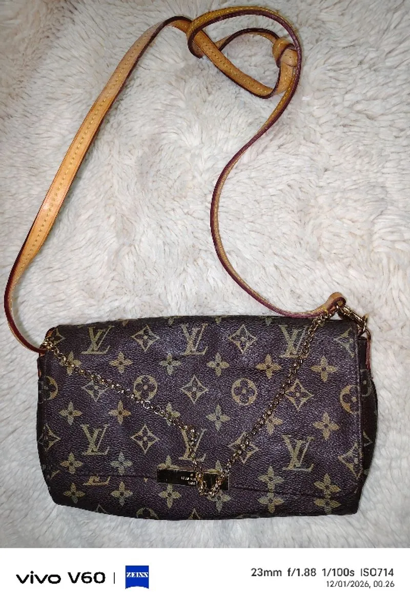 Louis Vuitton photo 1
