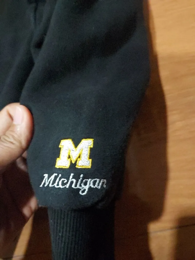 Hoodie Michigan state photo 1