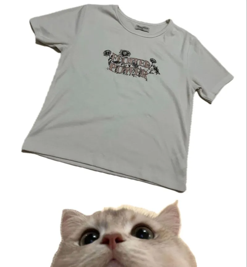 Crop top colorbox photo 1