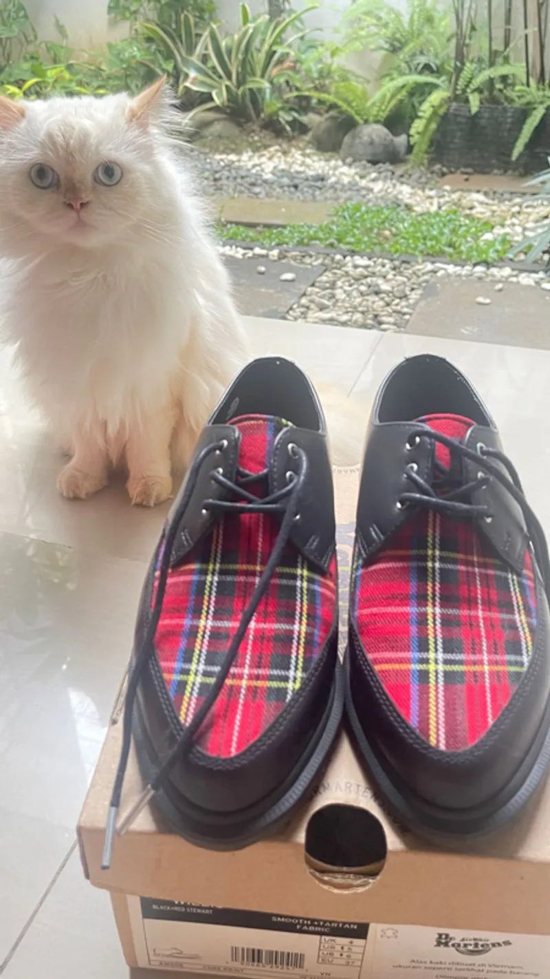 DocMart Shoes photo 1