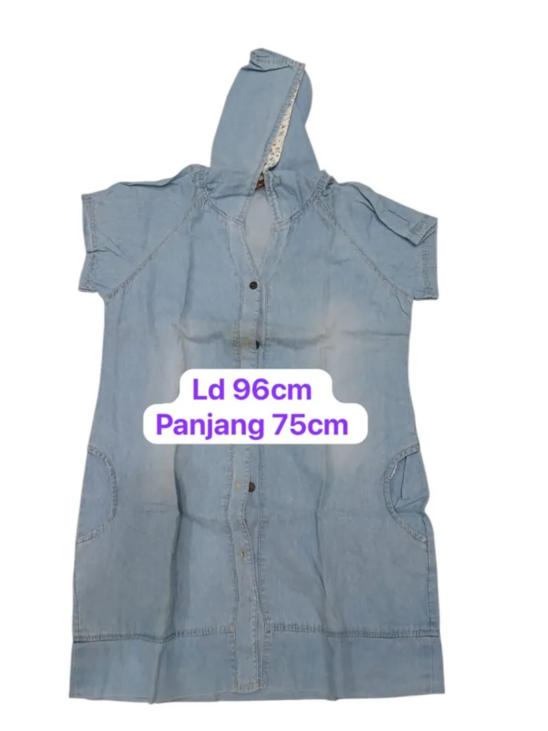 dress denin photo 1