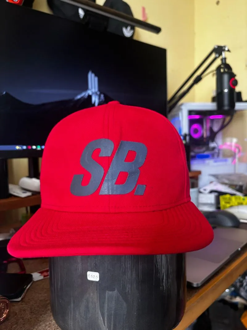 Nike SB red snap back photo 1