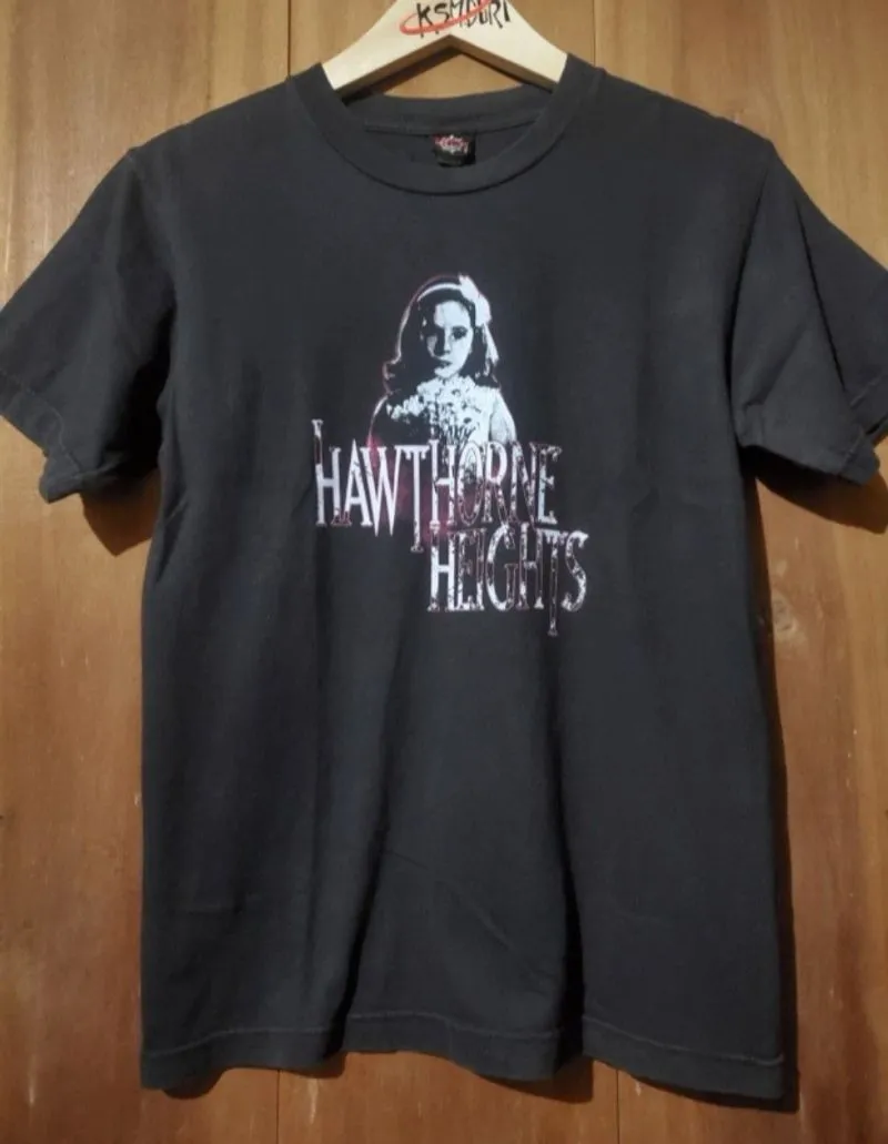 Band Hawthorne heights photo 1