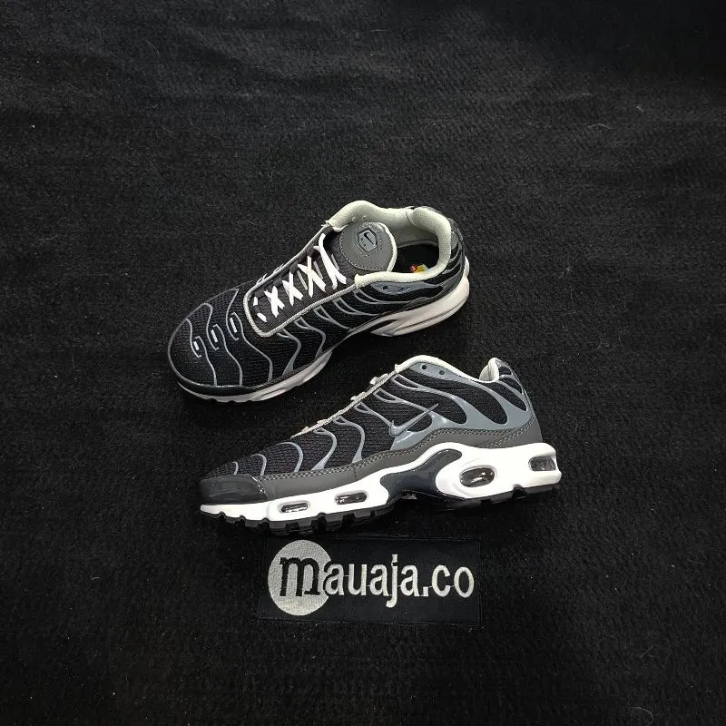 Nike Air Max Plus SE Iron Grey photo 1