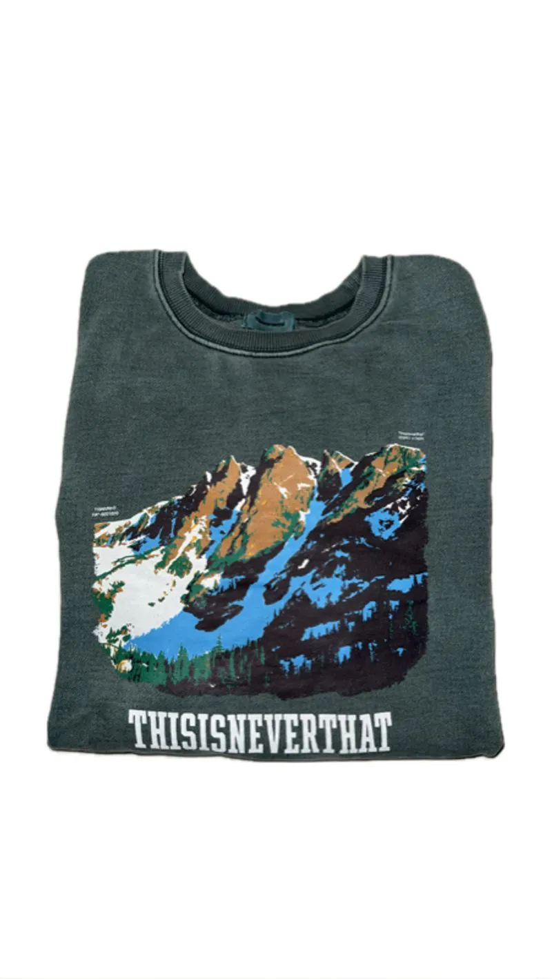 Sweatshirt Thisisneverthat green photo 1