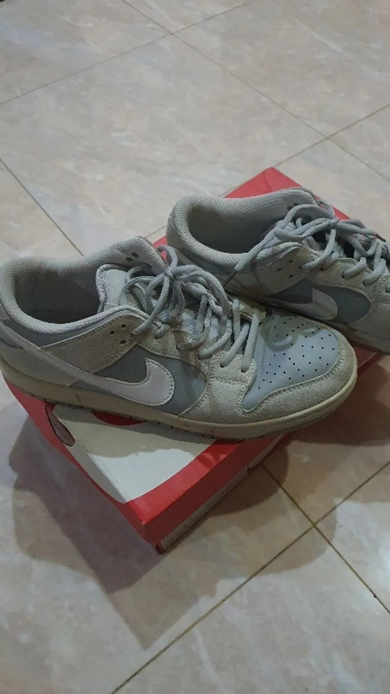 Nike low dunk grey 42 photo 1