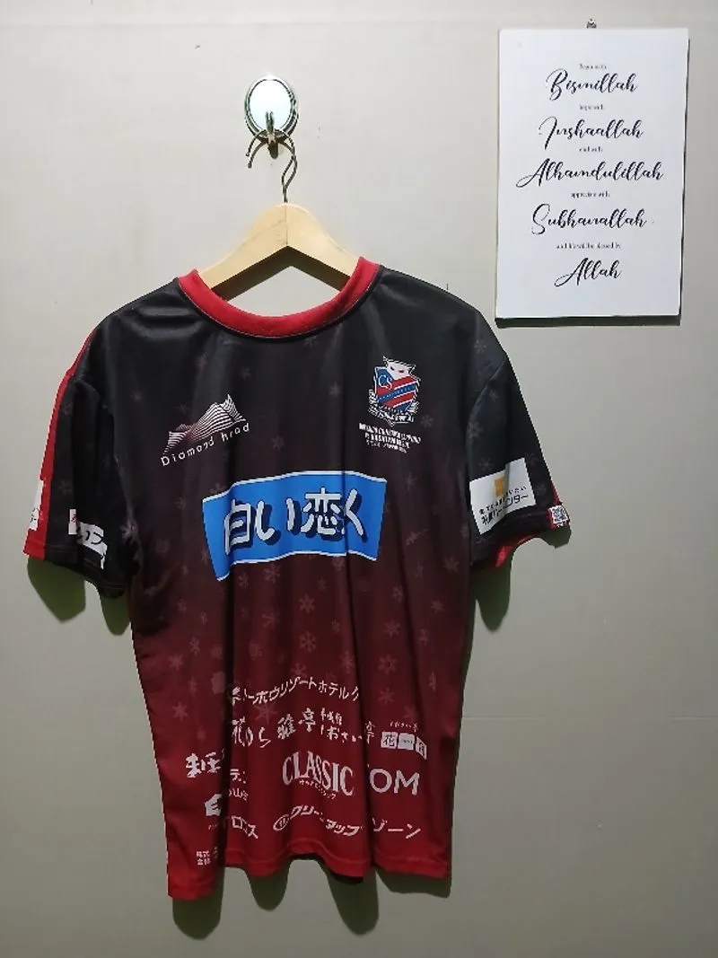 Jersey Consadole Sapporo 2018 photo 1