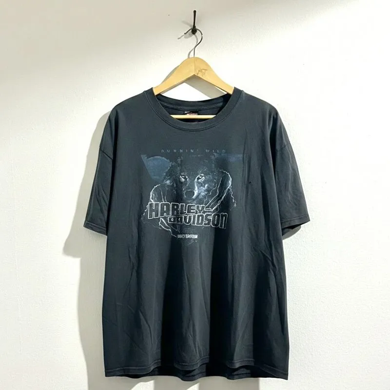 Vintage 2005 Harley Davidson by Hanes Beefy Faded Tee  photo 1
