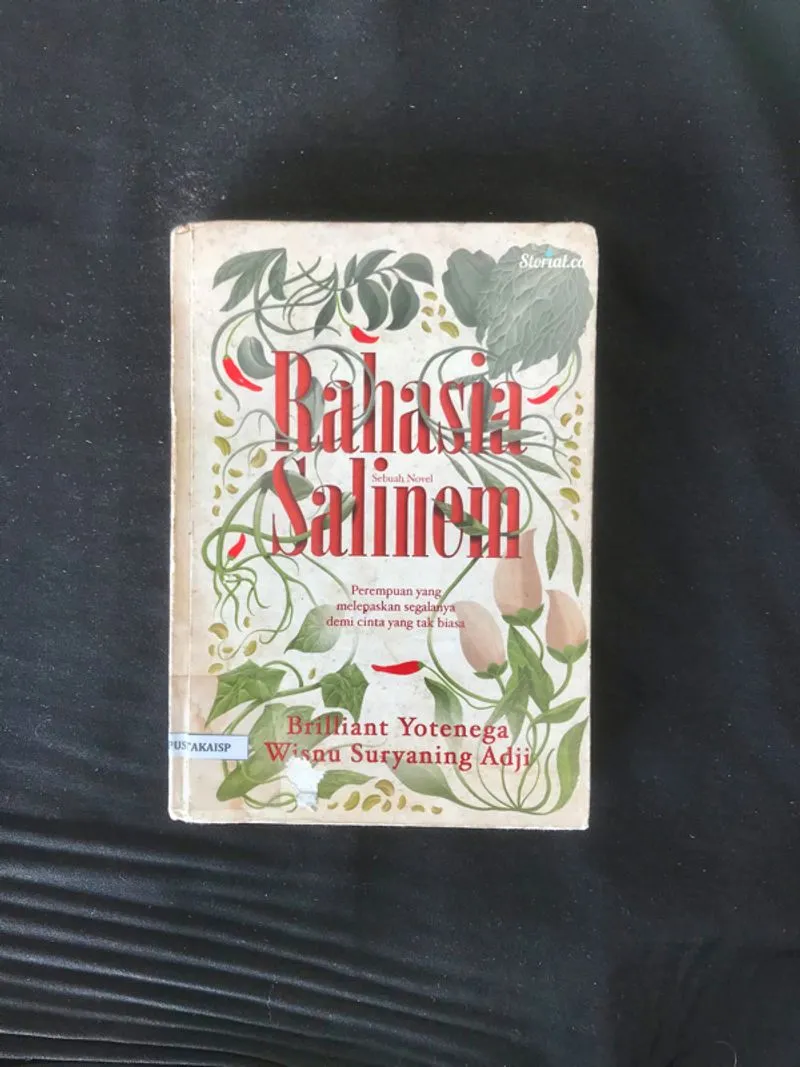 Rahasia Salinem - Brilliant Yotenega & Wisnu Suryaning Adji photo 1