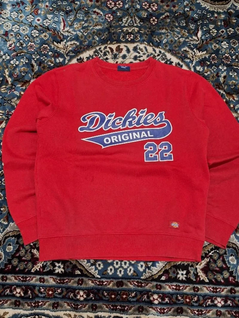 Dickies Art 22 sweatshirt photo 1