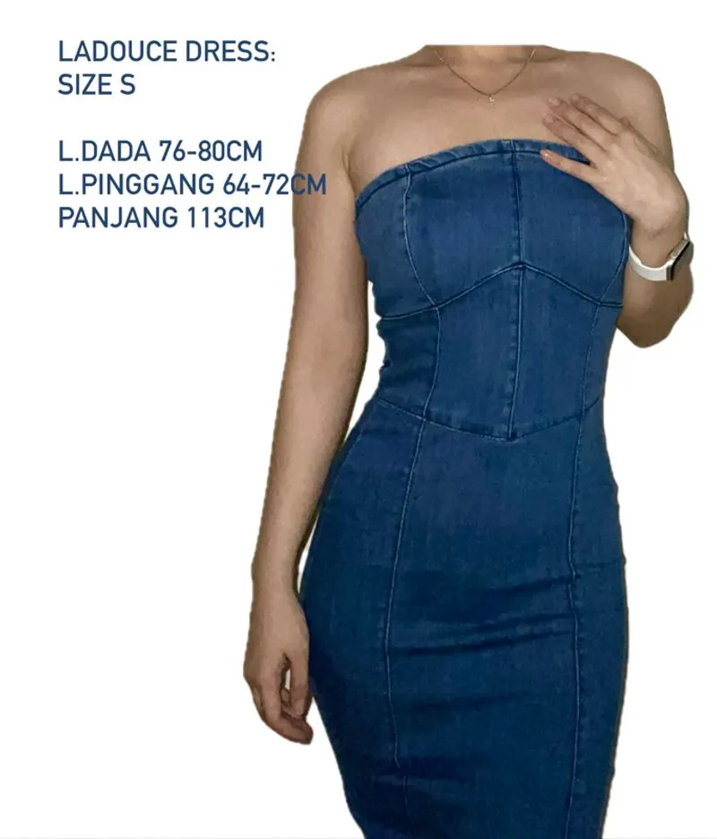 LaDouce denim dress  photo 1