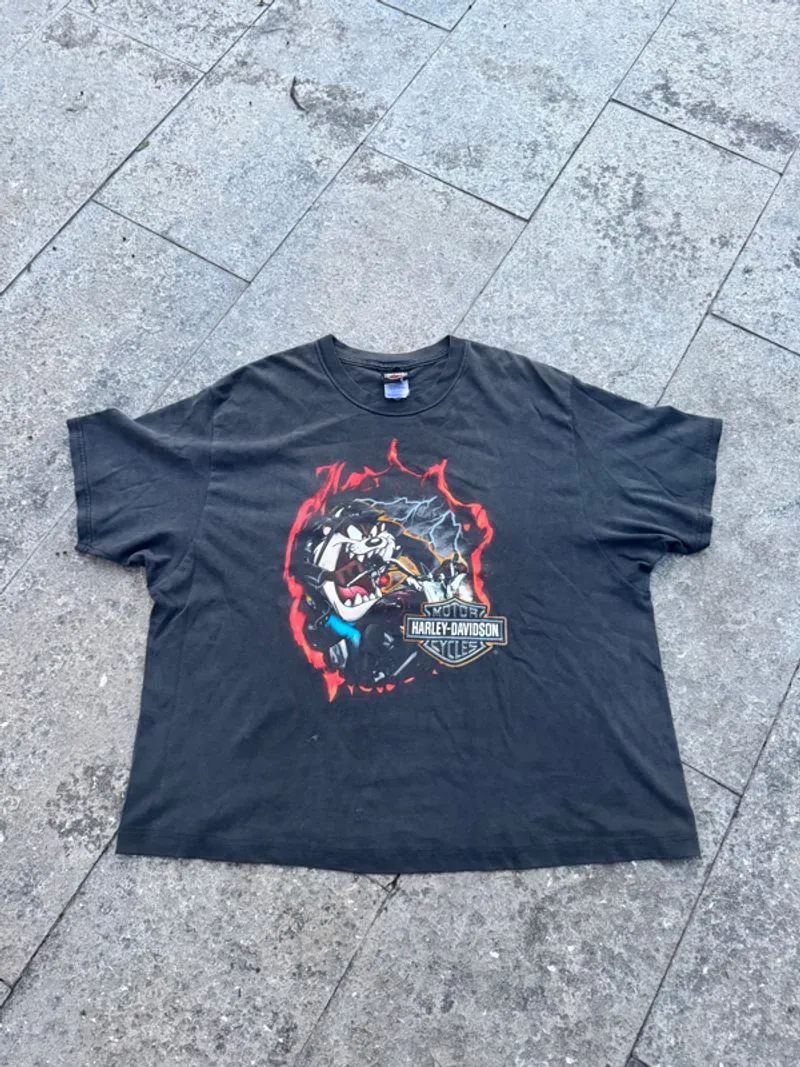 Harley Davidson x Looney Tunes 2000 photo 1