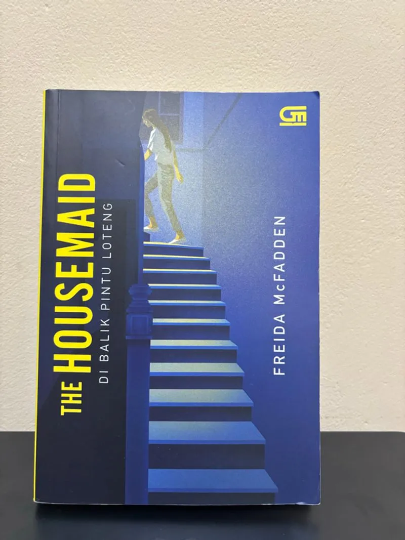 Novel The Housemaid by Freida McFadden photo 1