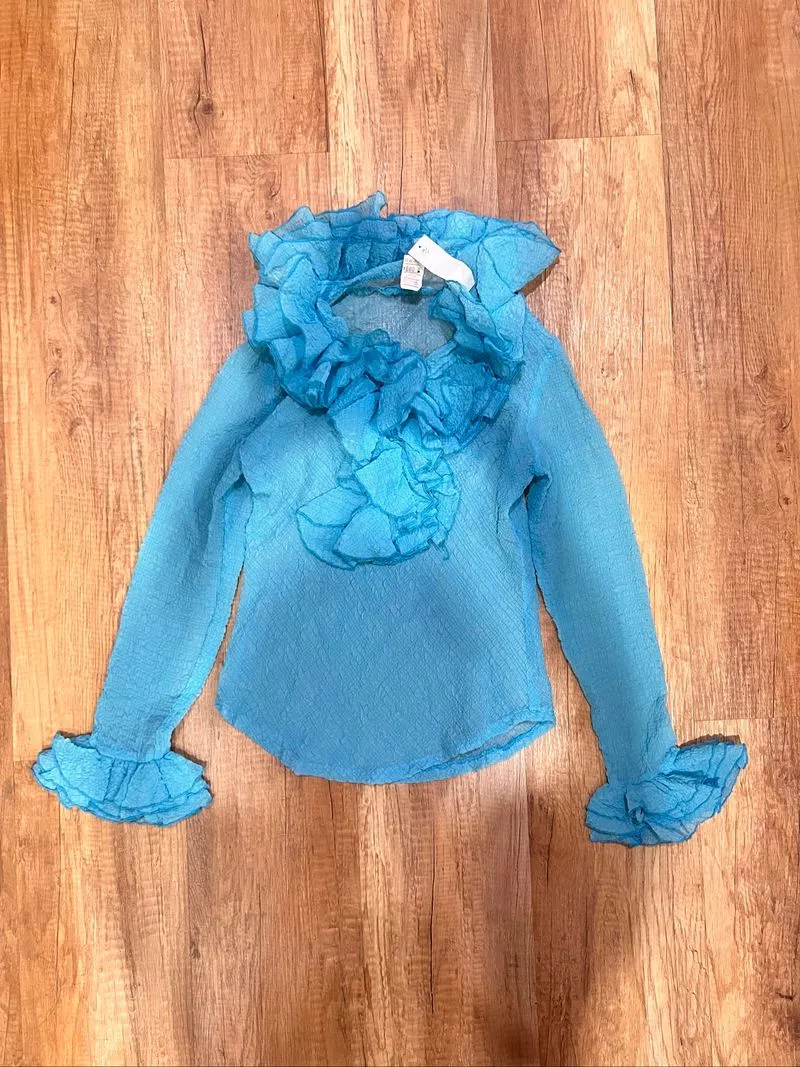 Blue Ruffle Blouse photo 1