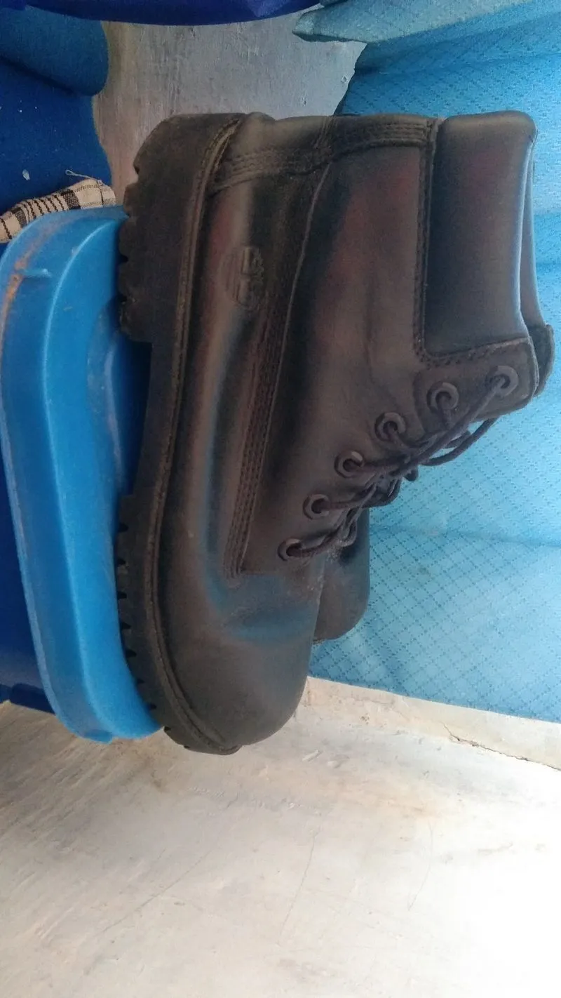 timberland  photo 1