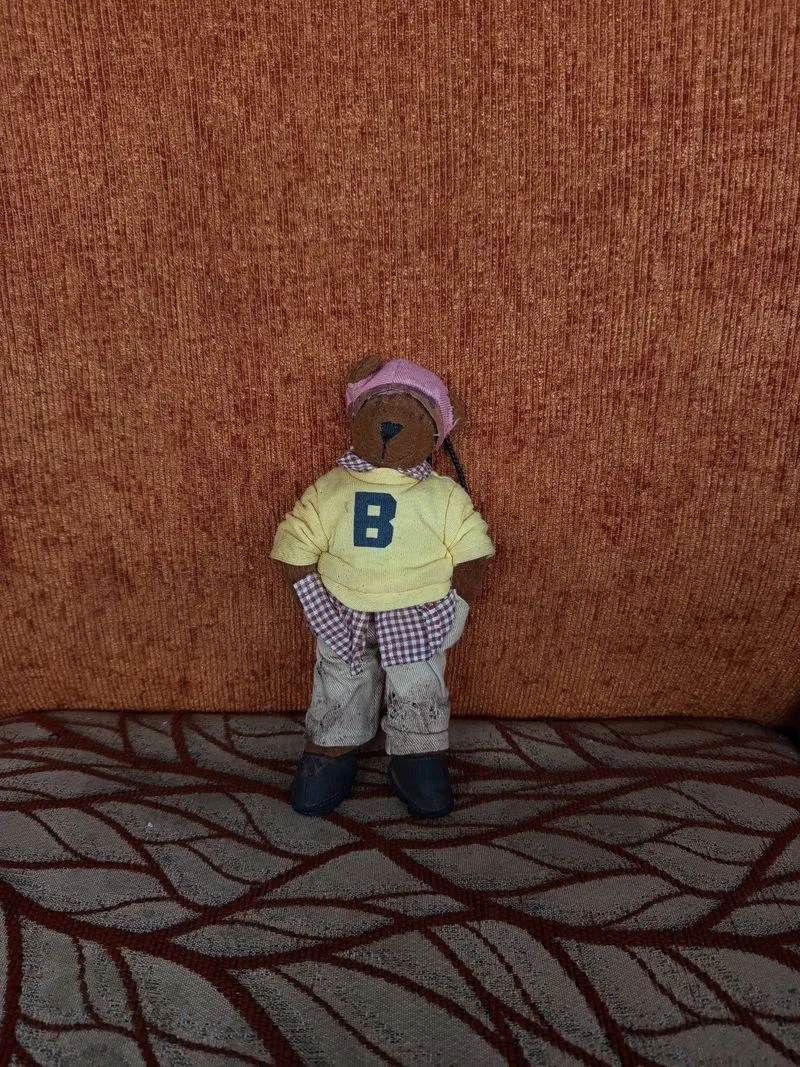 small, fully clothed teddy bear, commonly collected photo 1