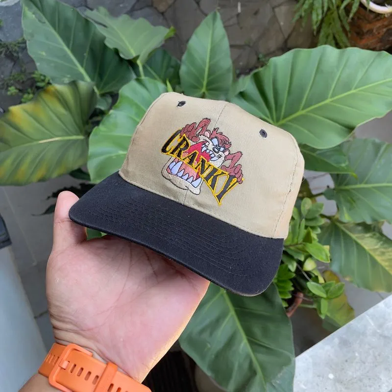 Topi vintage taz cranky looney tunes rare photo 1