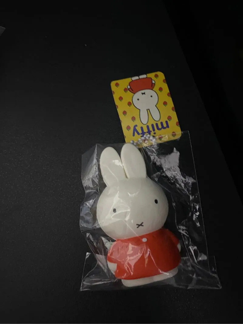 Squishy bunny miffy photo 1