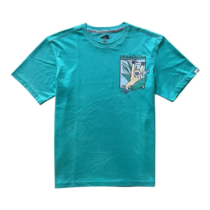 The North Face Streetwear Sportswear T-shirt Pria green photo 1