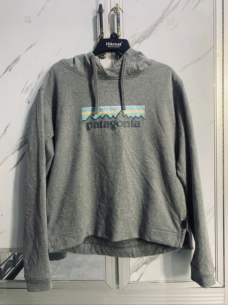 Hoodie Patagonia photo 1