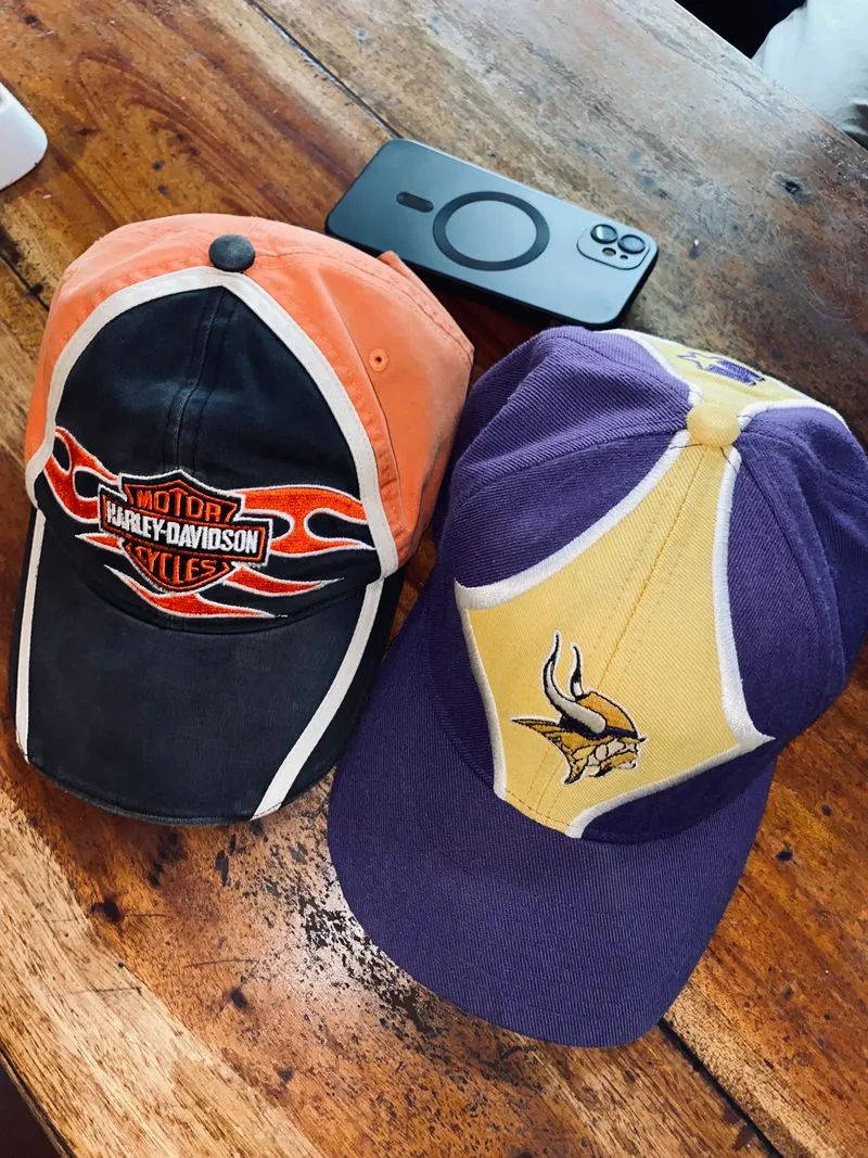 Harley Davidson Vintage Hat Pria purple black photo 1