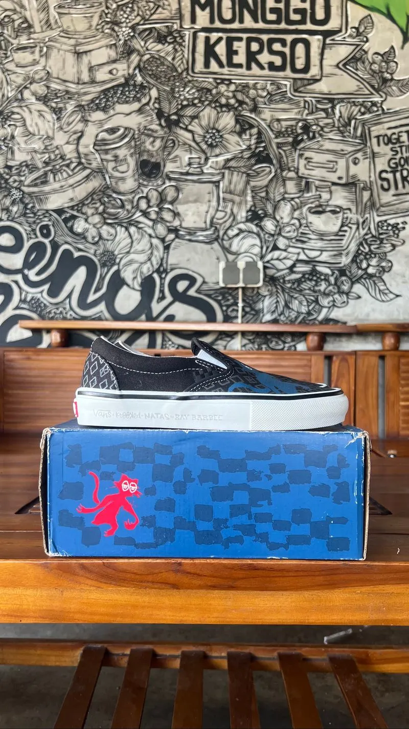 Krooked x Vans Skate Slip-On 'Natas For Ray Barbee' photo 1