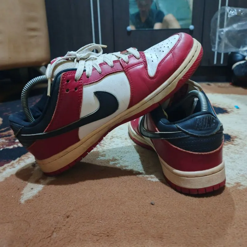NIKE LOW DUNK PRO photo 1