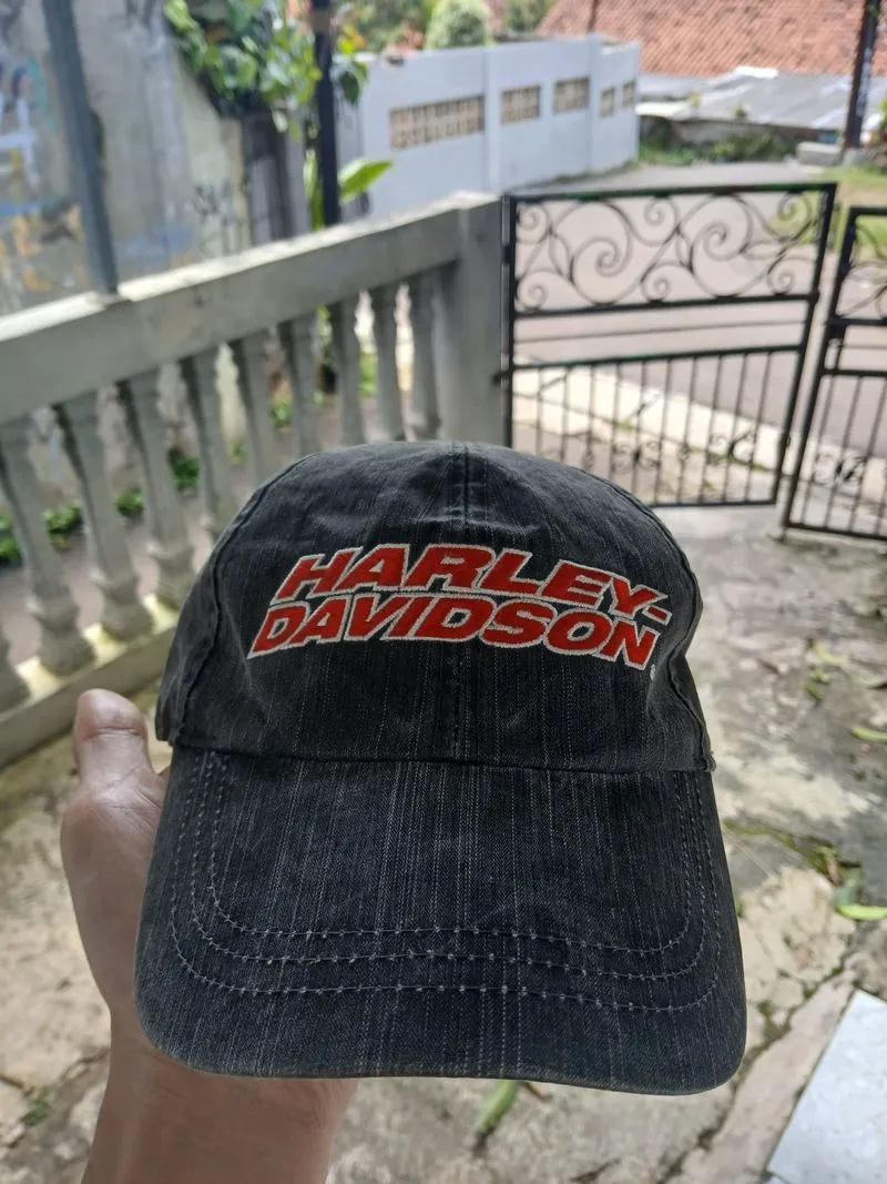 Harley Davidson photo 1