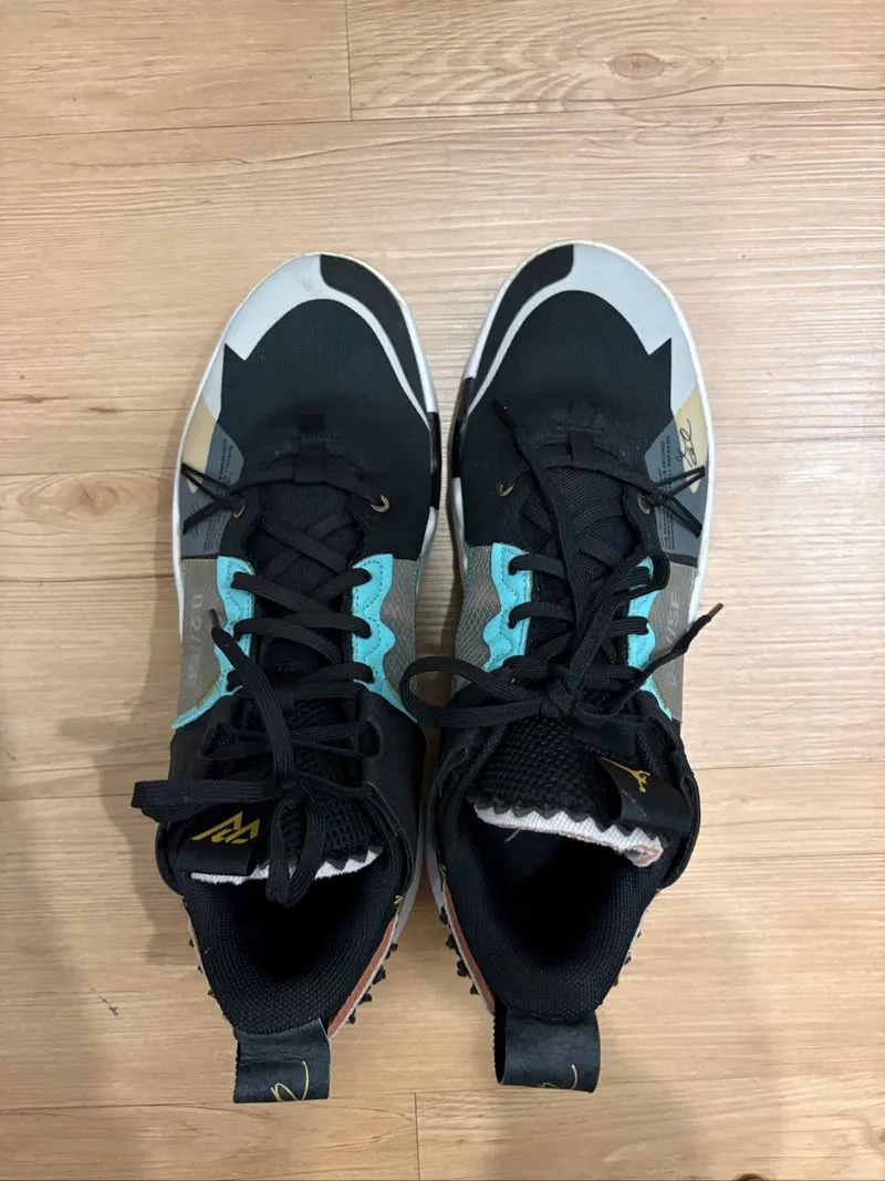 Jordan Why Not 0.2 Basketball Shoes photo 1