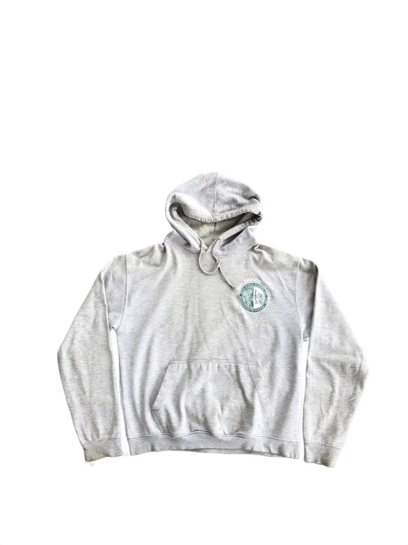 Official Merch Uni Graz Hoodie Gray BOXY photo 1