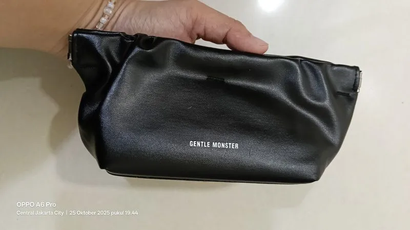 Pouch Gantle monster _ sunglasses gantle monster photo 1