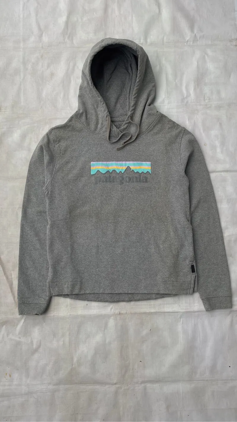 Patagonia Hoodie photo 1