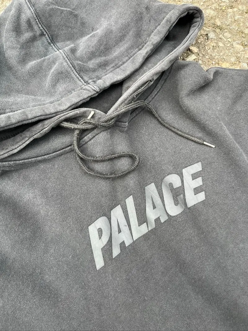 PALACE BIG LOGO photo 1