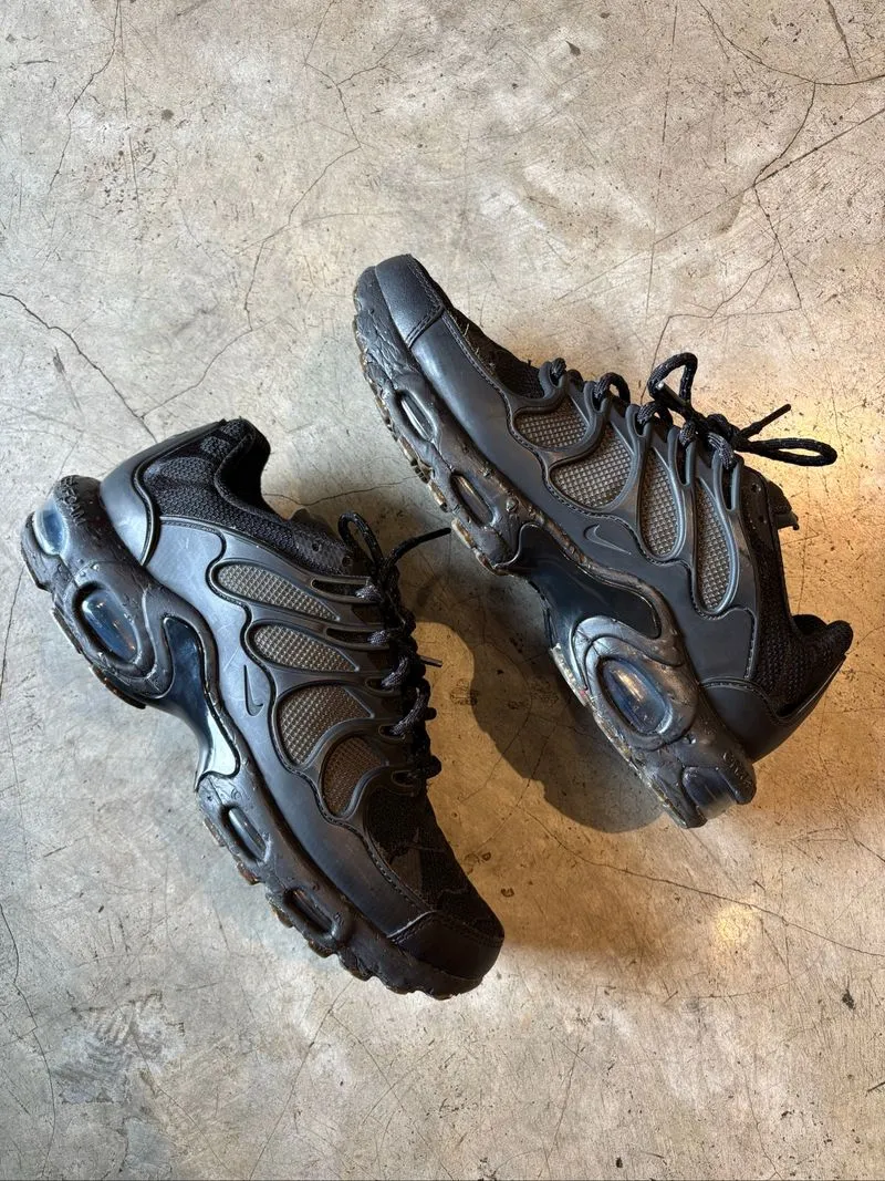 Nike Air Max Terrascape Plus  photo 1