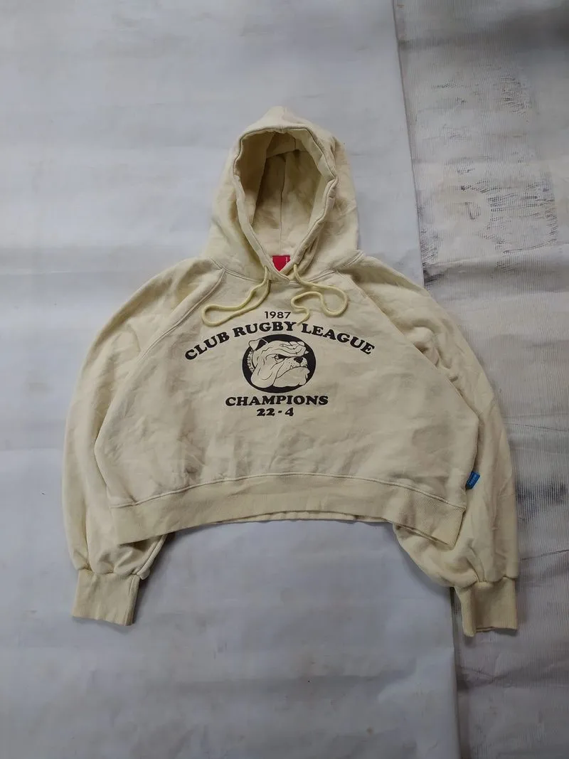 Hoodie Boxy Crop Fortune Apparel photo 1