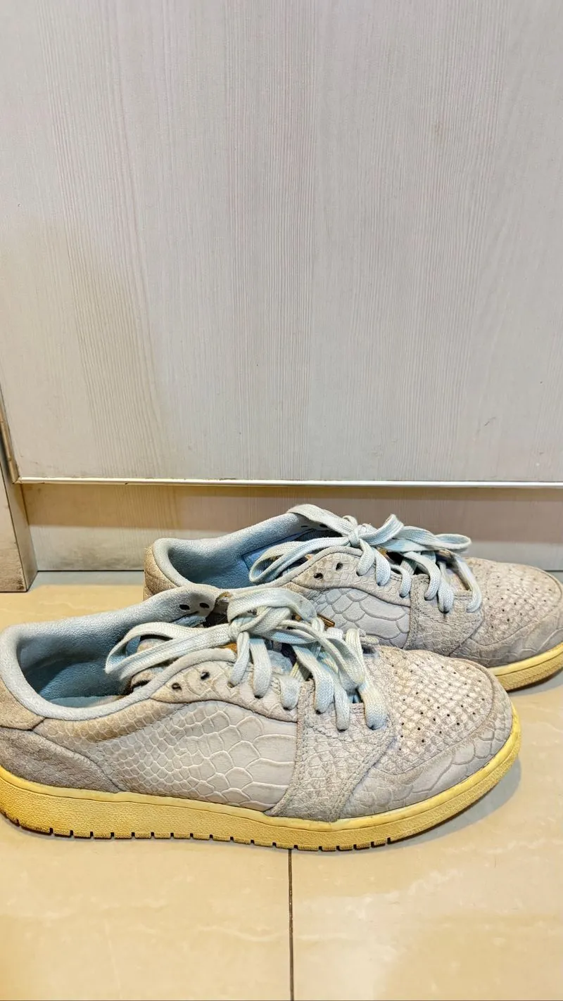 NIKE AIR JORDAN LOW DUNK photo 1