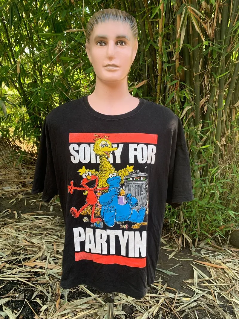 Kaos SESAME STREET size 2XL photo 1